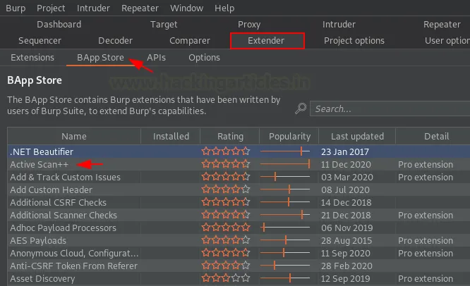 Burp Suite Active Scan
