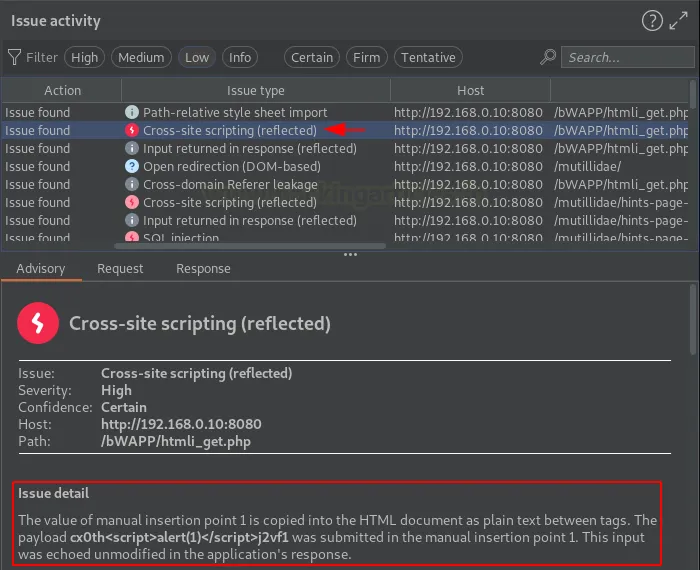 Burp Suite Active Scan
