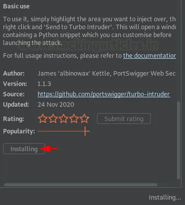 Burp Suite Turbo Intruder