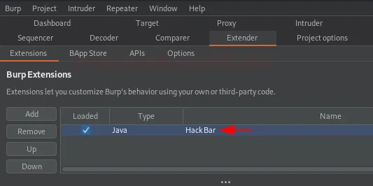 Burp Suite Hackbar