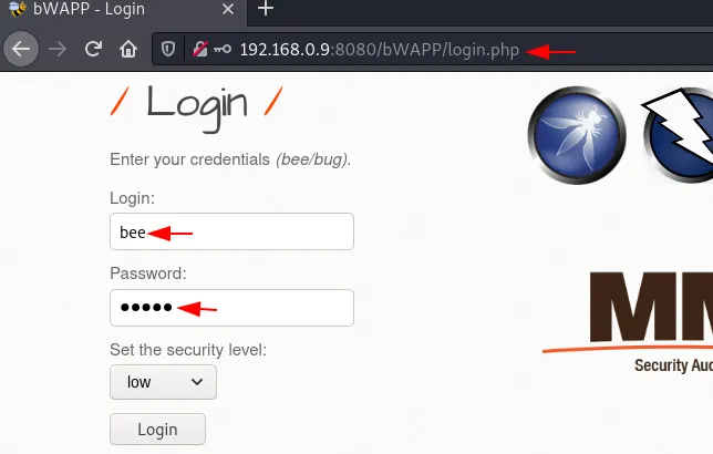 Burp Suite Turbo Intruder