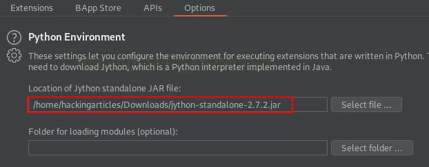 Burp Suite Active Scan