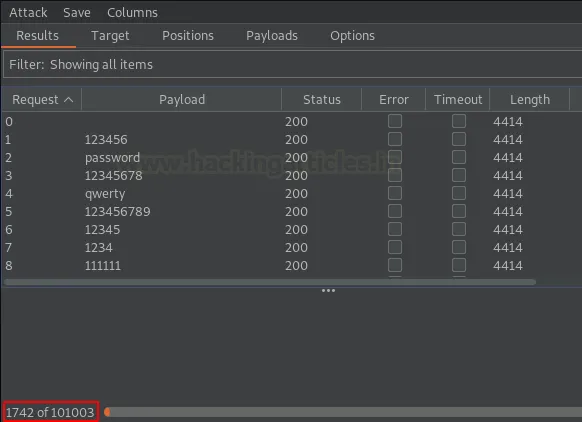 Burp Suite Turbo Intruder