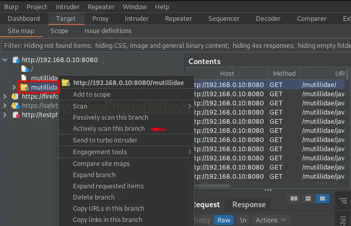 Burp Suite Active Scan